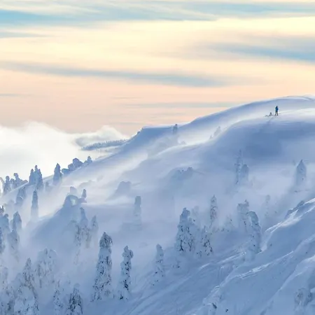 아파트 New And Fresh In Kvitfjell