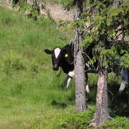 Cozy By The Slopes In Kvitfjell Vest Apartman *