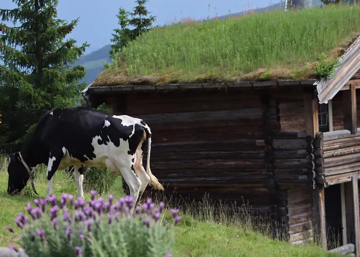 Cozy By The Slopes In Kvitfjell Vest Favang